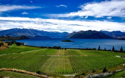 De très bons résultats, même sur les millésimes difficiles